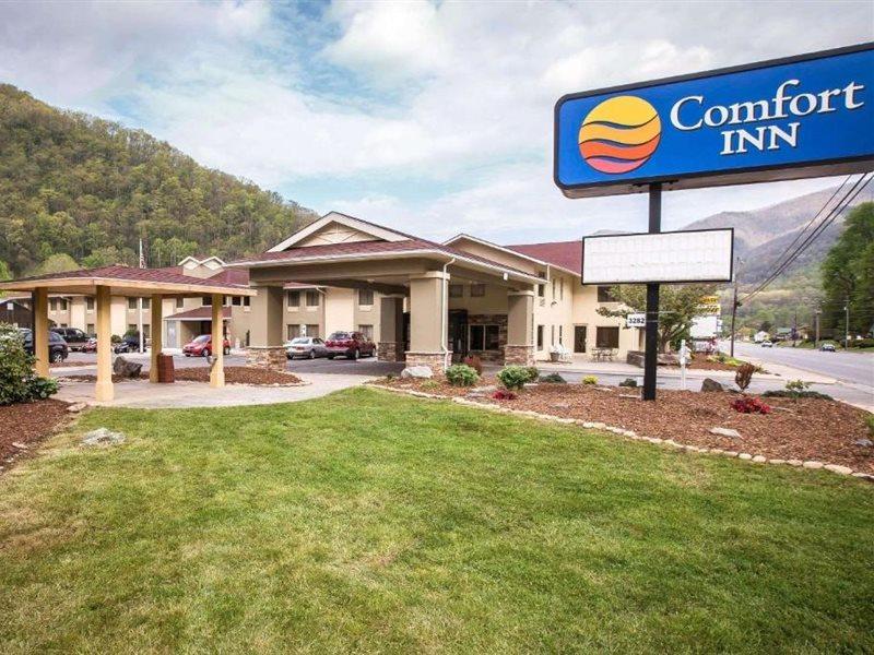 Comfort Inn Near Great Smoky Mountain National Park Маґґі-Валлі Екстер'єр фото